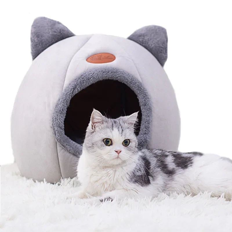Cat House
