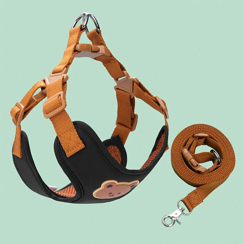 Pet Harness and Leash