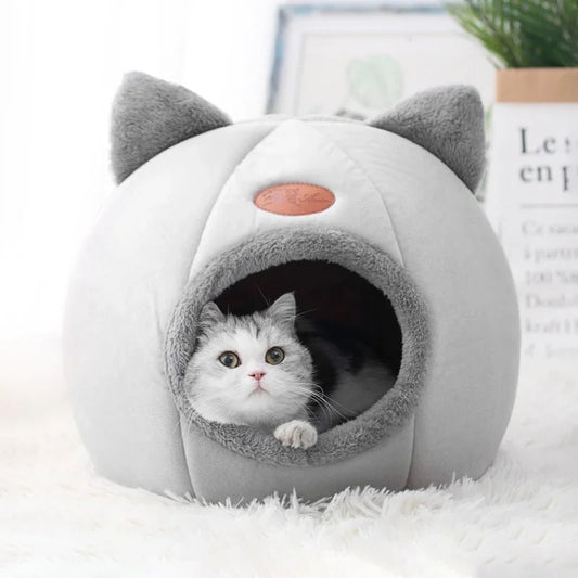 Cat House