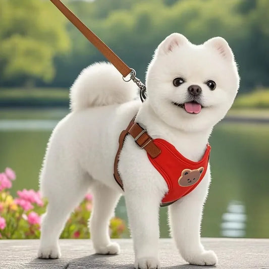 Pet Harness and Leash