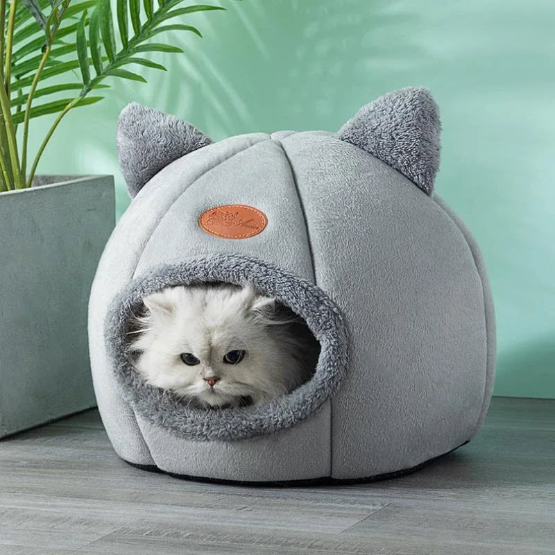 Cat House