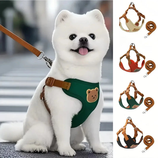 Pet Harness and Leash